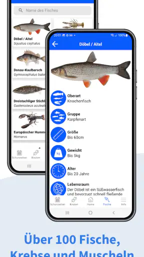 Angel App - Fishing Plus screenshot