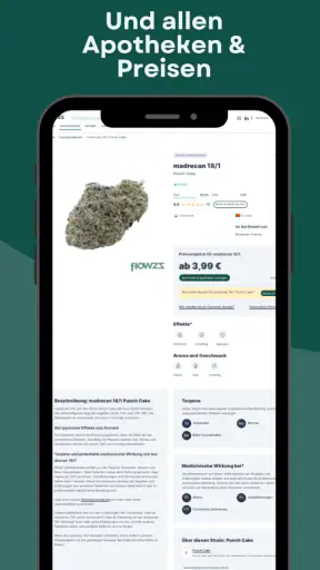 flowzz.com screenshot