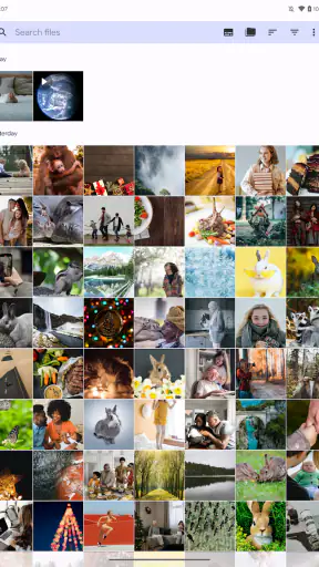 Fossify Gallery screenshot