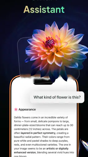 Gendi AI - Ask AI Assistant screenshot