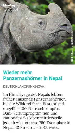 Good News App screenshot