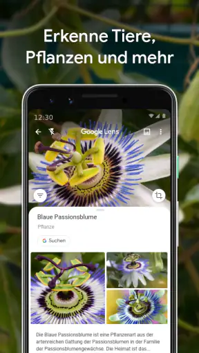 Google Lens screenshot