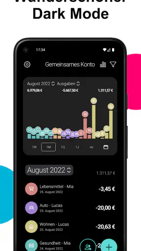 Haushaltsbuch Ausgaben Monee screenshot