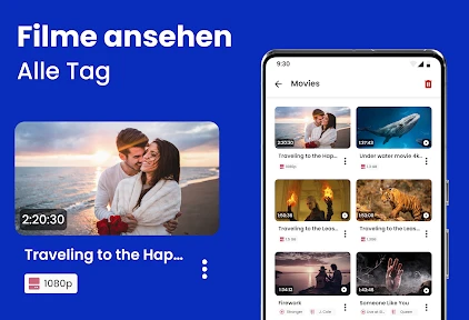 HD-Videoplayer :VIDFO screenshot