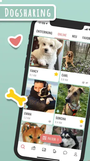 Hundelieb - Dogsharing screenshot
