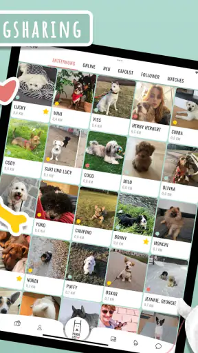 Hundelieb - Dogsharing screenshot