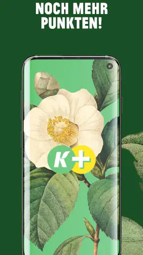 Kremer Plus screenshot
