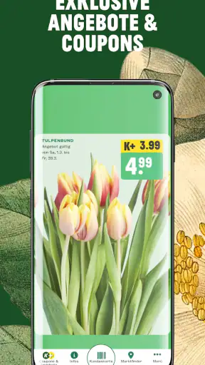 Kremer Plus screenshot