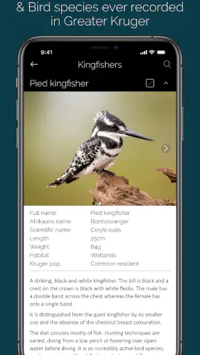 KrugerExplorer screenshot