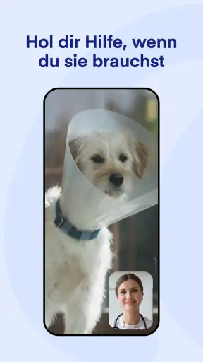 Lassie screenshot