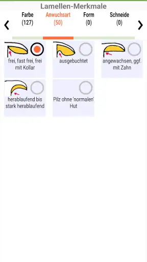 Meine Pilze (Pilzbestimmung) screenshot