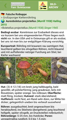 Meine Pilze (Pilzbestimmung) screenshot
