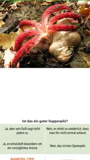 Meine Pilze (Pilzbestimmung) screenshot