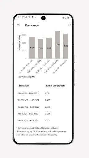 Meine Süwag screenshot