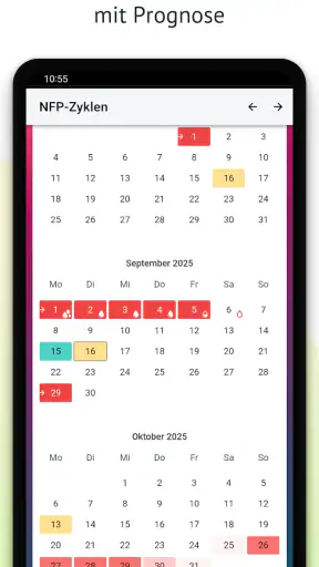 myNFP screenshot
