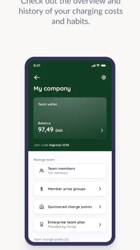 Norlys Charging screenshot