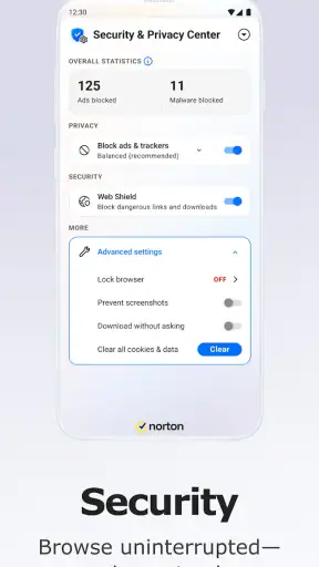 Norton Private Browser screenshot