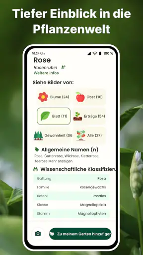 Pflanzen Erkennen auf Deutsch screenshot