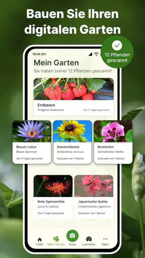 Pflanzen Erkennen auf Deutsch screenshot