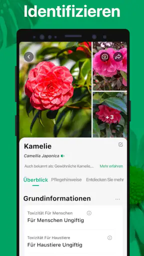 PictureThis Pflanzen bestimmen screenshot