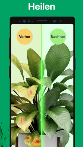 PictureThis Pflanzen bestimmen screenshot