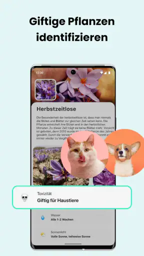 PlantCam: KI-Pflanzenerkennung screenshot