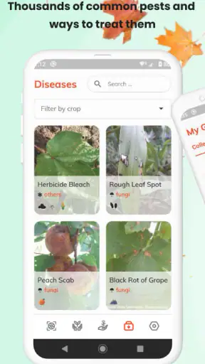 PlantID - Pflanzenident. screenshot