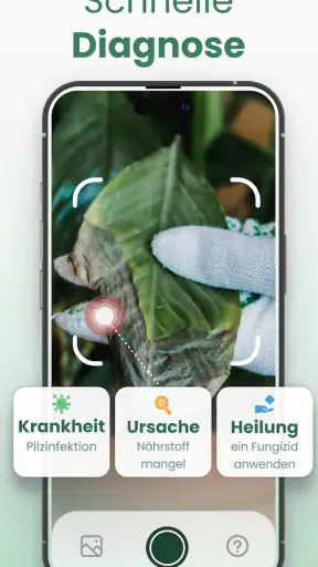 Plantify : Pflanzen Erkennen screenshot
