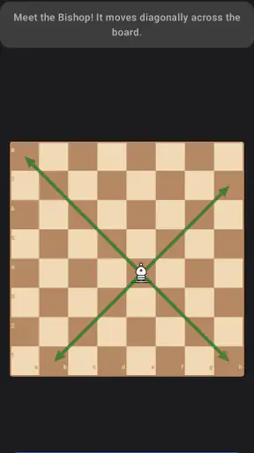 Schach lernen: Schach spielen screenshot