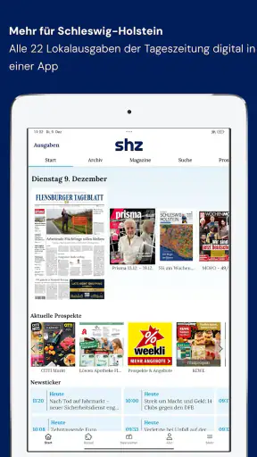 shz E-Paper screenshot