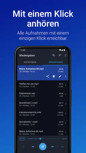 Stimmrekorder Plus Profi screenshot