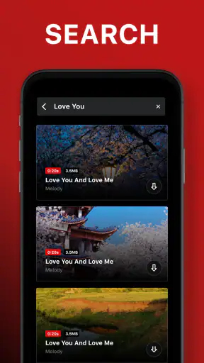 Video-Downloader screenshot