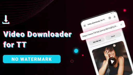 Video Downloader für TT screenshot