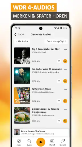 WDR 4 screenshot