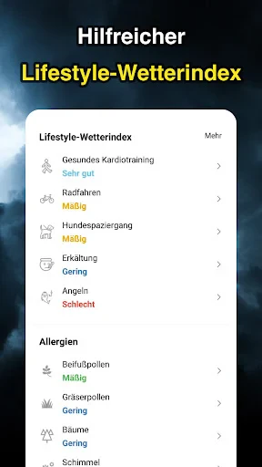 Wetteransicht screenshot