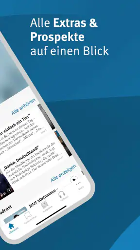 WP E-Paper screenshot