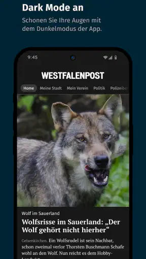WP News screenshot