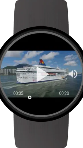 Video Gallery for Wear OS screenshot