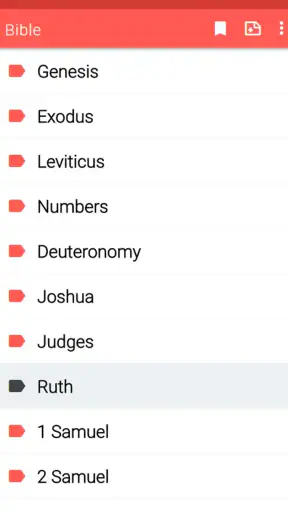 Amplified Bible offline screenshot