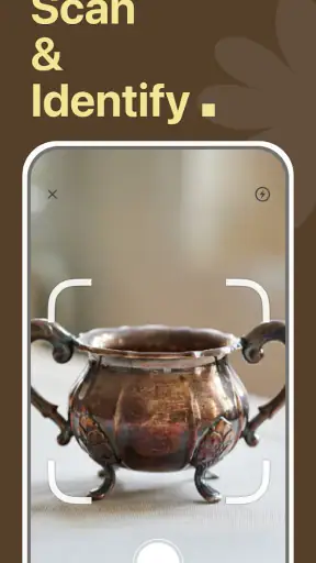 AntiqSnap: Antique Identifier screenshot