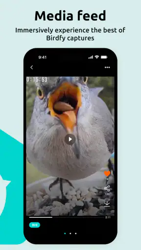 Birdfy screenshot