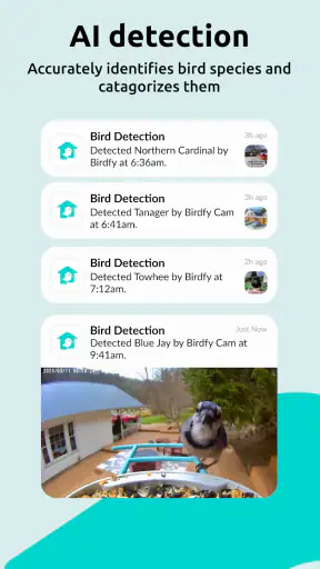 Birdfy screenshot