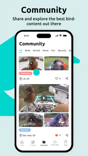 Birdfy screenshot