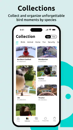 Birdfy screenshot