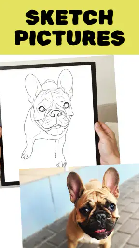 Colorify: Coloring Book Maker screenshot