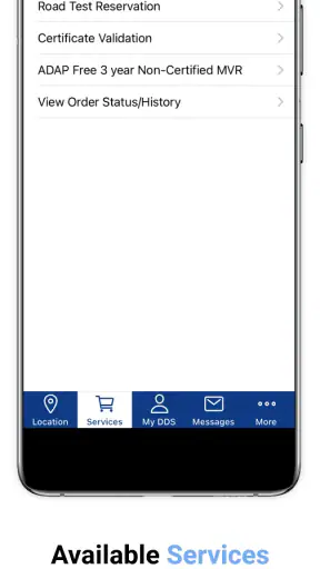 DDS 2 GO screenshot