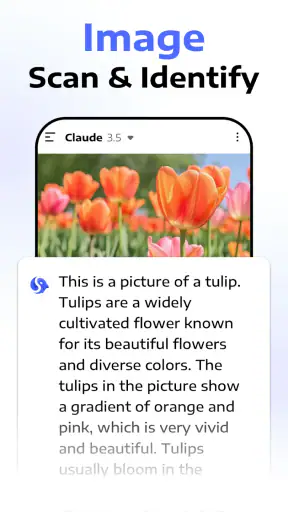 Deep Think - AI Seek Chatbot screenshot