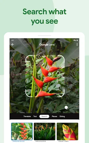 Google Photos screenshot