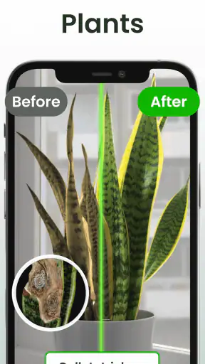 Plant Identifier: Plantiary screenshot