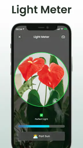 Plant Identifier: Plantiary screenshot